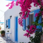 Discover the Secrets of the Blue Zones: Unlocking the Path to Longevity