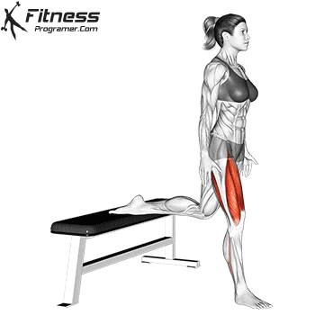 Body weight - Bulgarian split squatt - Glutes