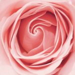 How to Balance Hormones Naturally Without Medication