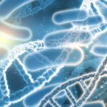 What Is Candida Overgrowth? Symptoms, Root Causes & Natural Treatments for Women